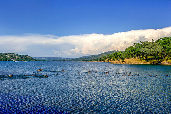 Folsom Lake State Recreational Area